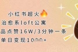 小红书高赞治愈系LOFT公寓短视频制作 低门槛易上手可变现