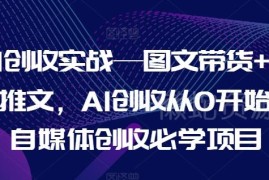 AI创收实战项目教程 图文带货+小说推文从0起步自媒体学习指南