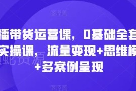 0基础直播带货全套运营实操课 含流量变现方法与案例解析