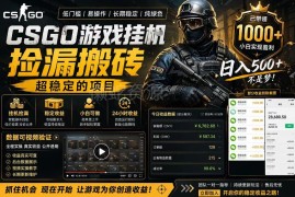 CSGO游戏饰品搬砖项目详解 全自动操作无需玩游戏可盈利
