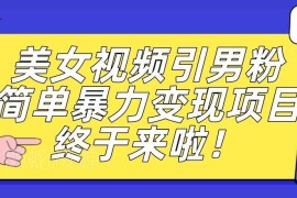 男粉引流变现实操项目详解 新手仅用手机操作可日入500+附资源