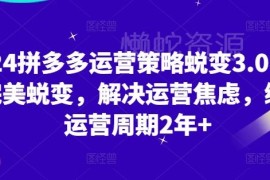 2024拼多多运营策略3.0教程 0基础从入门到盈利实操指南