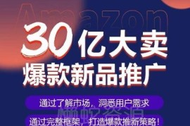 亚马逊爆款推新可复制SOP 30亿大卖实操全流程案例解析