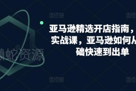 亚马逊0基础开店到出单全指南 选品运营实操教学合集
