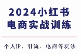 2024小红书电商3.0实战教程 涵盖IP打造引流开店全流程实操玩法