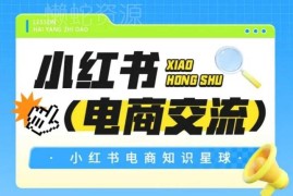 小红书电商运营学习课程 付费投放实操思路配套视频资料
