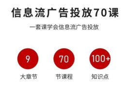信息流广告投放实战70课 零基础掌握全链路投放优化技能