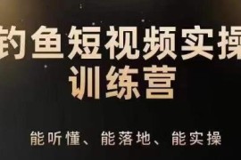 0基础钓鱼短视频运营实操指南 IP定位到账号策划全流程技巧