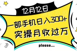 适合新手的稳定变现实操项目 单号日入500+可批量放大操作