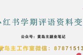 蓝海副业：小红书学期评语虚拟资料变现实操玩法全拆解