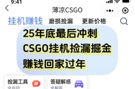 12月CSGO饰品全自动挂机捡漏项目 手机操作轻松日入500+