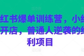 小红书爆单训练营全流程教程 普通人开店掘金电商红利指南