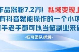 抖音私域AI引流实操：23条作品涨粉7.2W变现1W玩法解析