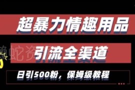 情趣用品项目全渠道引流实操教程 高转化获客出单玩法详解