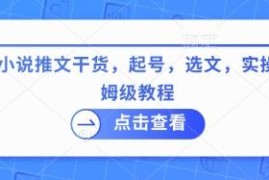 2025最新小说推文保姆级教程 起号选文实操全流程入门指南