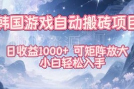 韩服魔兽自动搬砖项目拆解 小白可操作可矩阵放大日入过千
