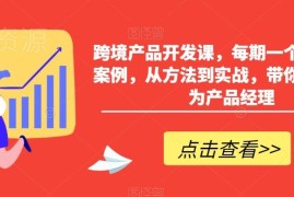 跨境产品开发实战课程 多案例拆解从方法到实操教你做产品经理