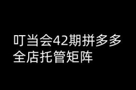 叮当会第42期拼多多高阶运营教程 全店托管矩阵实操玩法解析