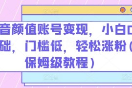 0基础抖音颜值账号涨粉变现教程 适合小白的低门槛实操指南