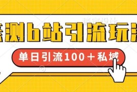 亲测有效B站引流玩法 新手小白可操作单日引流100+到私域
