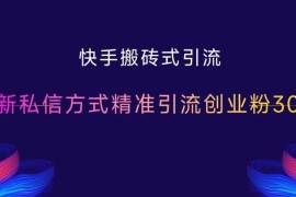 2024快手搬砖式引流攻略 最新私信玩法精准引流创业粉300+
