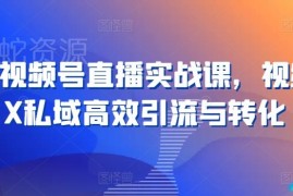 21天视频号直播实战课 公域私域联动引流转化全流程指南