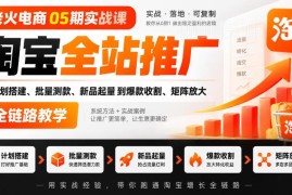 老火电商05期实战课 淘宝全站推广从搭建到放大全链路教学