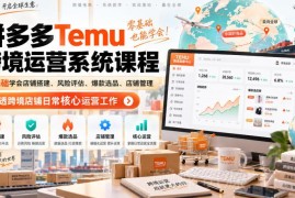 Temu零基础跨境运营课程 覆盖开店选品运维全核心实战流程