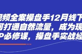 短视频全案操盘手12月线下课 打通自然流量打造现象级IP指南
