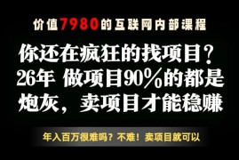 2026年互联网卖项目盈利拆解 低门槛副业变现实操教程