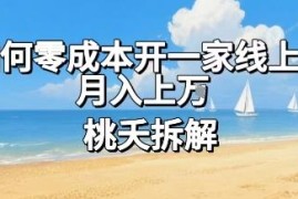 零成本开线上超市的两种实操方法 普通人做副业可实现月入过万