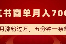 2025小红书商单最新玩法 低门槛快速涨粉接商单实操教程