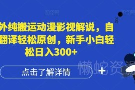 国外动漫影视解说搬运玩法 自动翻译做原创新手易上手赚收益