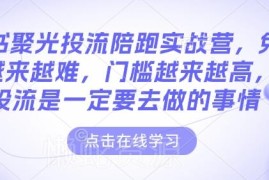 2025小红书聚光投流陪跑实战营教程 附全套运营SOP配套资料