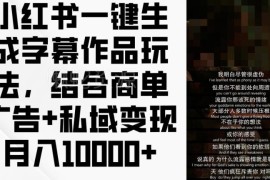 小红书一键生成字幕作品玩法 商单+私域变现实操指南