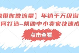 年销千万级淘系商家打造教程 中小卖家运营提升实操干货