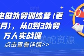 2025年5月更新AI闪电做外贸训练营 从0到1全流程实战课