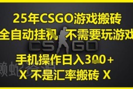2025年CSGO非汇率搬砖项目 无需玩游戏手机全自动操作指南