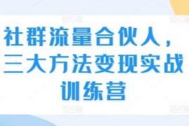 社群流量合伙人变现实战训练营 三大引流转化实操方法教学