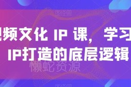短视频文化IP打造实操课 掌握IP搭建底层逻辑与运营技巧