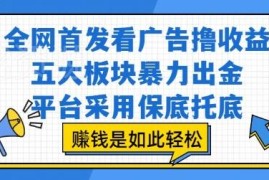 零门槛看广告赚收益项目解析 五大板块保底托底操作指南