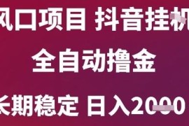 2024年6月抖音无人挂机全自动撸金 稳定收益项目玩法揭秘