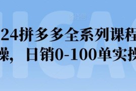 2024拼多多全系列实操运营课程 新手从0到日销百单实操指南
