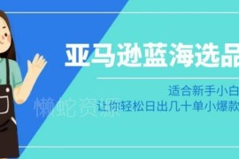 亚马逊新手卖家蓝海选品实操课 小白轻松打造日出几十单小爆款