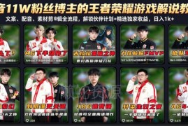 抖音11万粉博主亲授 王者荣耀解说制作及双收益变现全流程教程