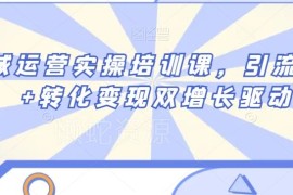 私域运营实操培训课 引流获客到转化变现全流程落地教程