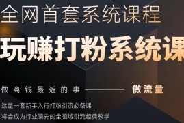 2025全网全域打粉引流系统课程 新手流量获取入门实操指南