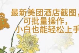 2025美团酒店批量截图操作教程 小白零门槛可轻松上手