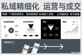 私域精细化运营实操教程 搭建高转化高复购私域收入系统