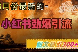 2025小红书图文引流实操教程 零粉可日引300+实现万元变现
